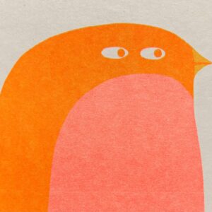 Bird- greeting card