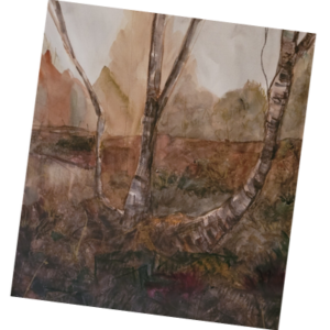 Gnarly Birch Greeting Card