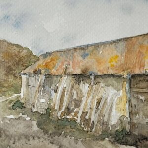 The Shed Greeting Card