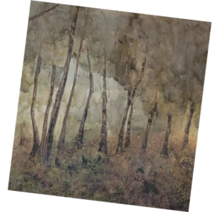 Haze of Ferns Greeting Card