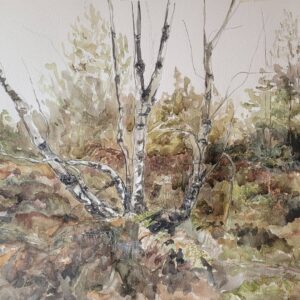 Rattlin' Bog Greeting Card?