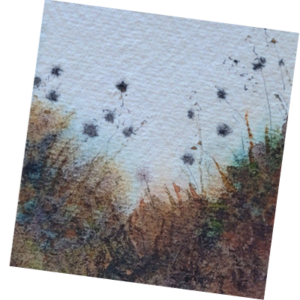 Grasses Greeting Card?