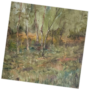 Stand of Birches Greeting Card