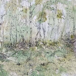 The Ferns Greeting Card