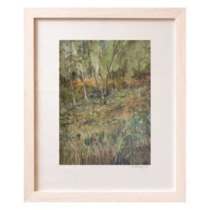 Stand of Birches Giclee Print