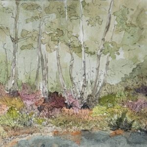 Abbeyleix Bog Greeting Card