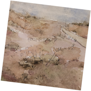 Bogland Greeting Card?