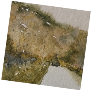 Out West Greeting Card