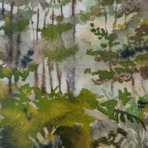 In the Forest Greeting Card?
